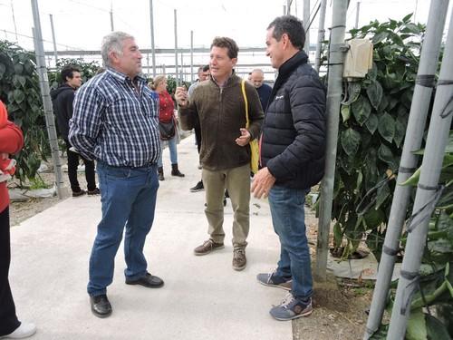 José Luis Ruipérez, responsable de pimiento de Rijk Zwaan (centro) junto a técnicos y agricultores