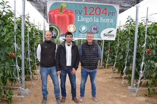 Héctor Ramos, responsable de ventas de El Ejido; Paco Tomillero, técnico de desarrollo; y Manuel Martínez, comercial.