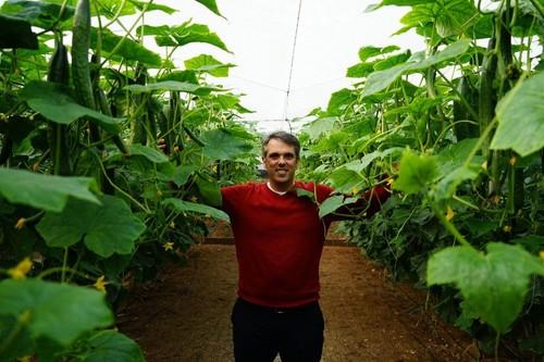 Javier López, resposanble de cultivo de pepino de Rijk Zwaan, mostrando una espectacular finca del 24-261 RZ