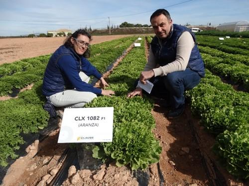 Nerea Valcárcel y Eusebio Mora, técnicos comerciales en el Sureste de HM Clause con una de las novedades en escarola