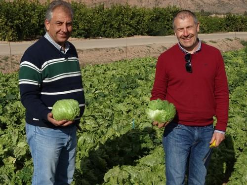 Luciano Valera, responsable comercial de Meridiem Seeds en la zona de Murcia, y Alfonso García, genetista de lechuga,