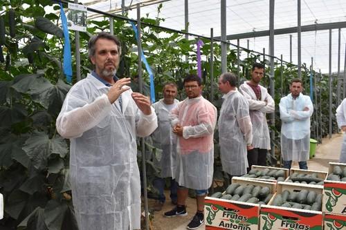 Javier López, especialista de cultivo de pepino de Rijk Zwaan, explicó las características de este pepino francés