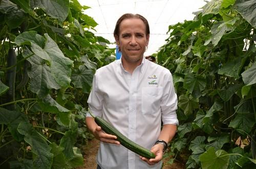 Antonio Reina, breeder de pepino holandés de Monsanto.