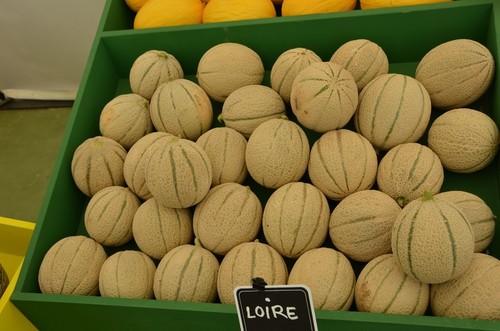 Variedad de melón cantaloup Loire, de Semillas Fitó.