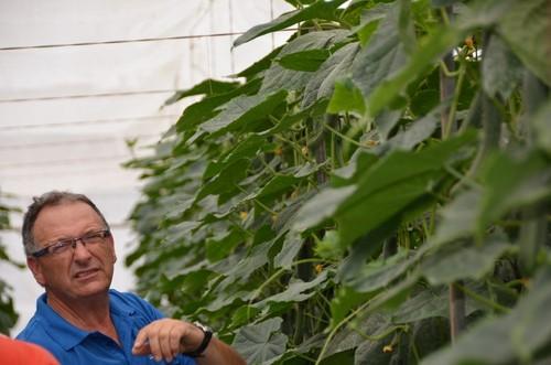 Uno de los agricultores, experto productor de pepino, que se interesó por la variedad Invictus.
