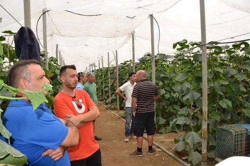 Agricultores durante la visita guiada por invernaderos cultivados de pepino Invictus.