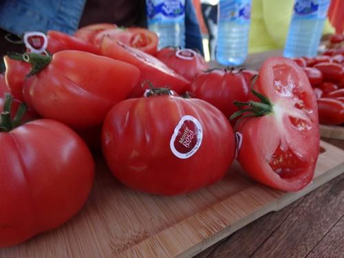 El tomate Monterosa ocupó parte de la degustación de los asistentes a las jornadas.
