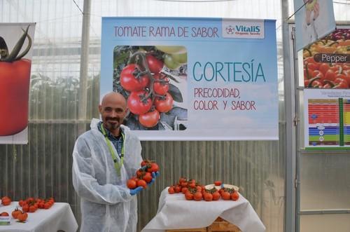 Rubén Martín, sales manager de tomate de Enza Zaden