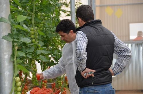 Ricardo Ortiz y Manuel Hernández, ambos de Rijk Zwaan, comentando acerca de las novedades en tomate de la casa de semillas