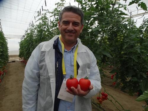 Juan Antonio Plaza, técnico de desarrollo de tomate de HM.CLAUSE, con dos pizas de Harrison.