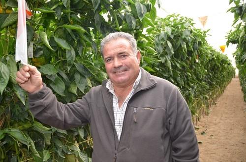 Juan Miguel Bueno Payán, agricultor cliente de Syngenta desde hace años.