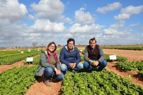 Lidia Alcubierre, Lorenzo Castillo y Jesús Bayano, asistant breeder, breeder lettuce y product manager de Ramiro Arnedo, respectivamente