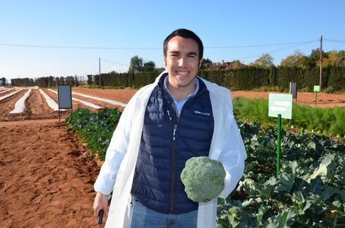 Fernando Rico, delegado técnico comercial de HM.Clause para la zona de Murcia y norte de España, con la variedad de brócoli Trajano.
