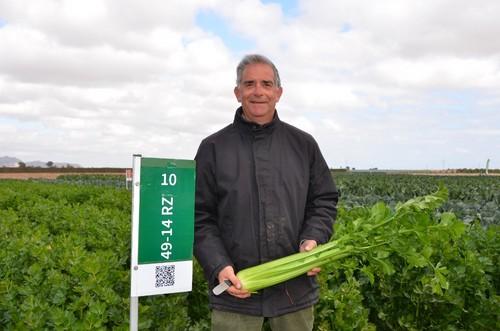 Santiago Gastón de Iriarte, especialista de cultivo de apio de Rijk Zwaan, posó con la nueva variedad presentada en estas jornadas 49-14 RZ