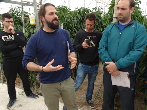 Diego Díaz, jefe de producto de pimiento explicando a los agricultores las variedades de Zeraim.