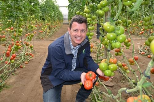 Manuel Hernández posando con los nuevos tomates que ha presentado la multinacional de semillas