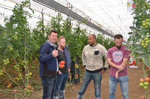 Manuel Hernández, especialista de cultivo de tomate de Rijk Zwaan, junto a varios agricultores que se han interesado por los nuevos materiales