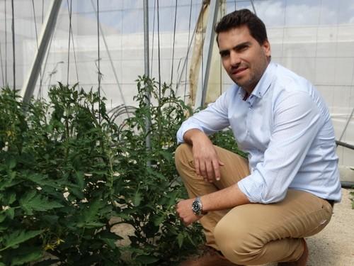 Leopoldo González, junto al cultivo actual de tomate
