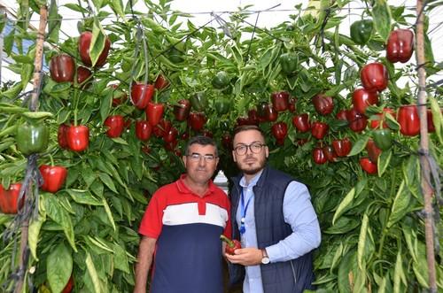 El dueño de la finca visitada en Tierras de Almería de Torrente, Francisco Rodríguez, junto a Jesús Capel, técnico comercial de Motroy Seeds.