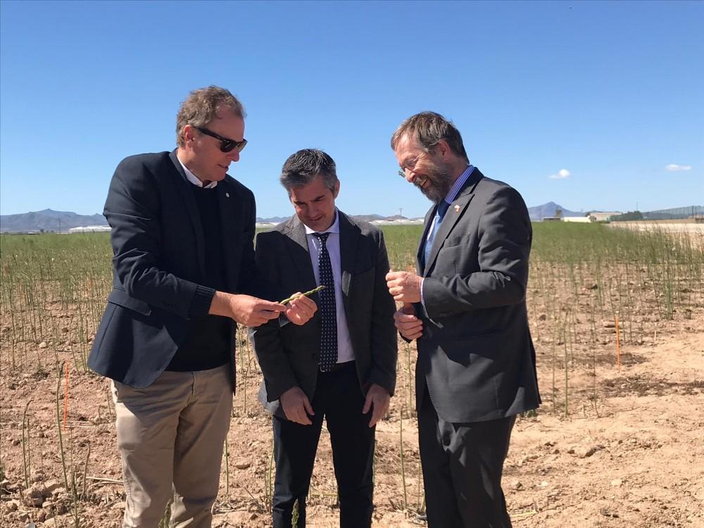 A la derecha  Christiaan Reynders, director general de Bejo; en el centro el consejero d Agricultura de Murcia, Miguel Angel del Amor; y a la izquierda el embajador holandes Matthijs van Bonzel.