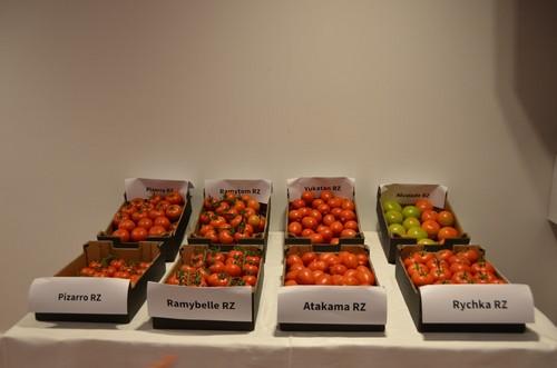 Variedades de tomate de Rijk Zwaan de diferentes tipologías