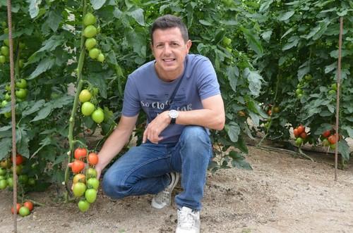 Manuel Hernández, especialista de cultivo de tomate de Rijk Zwaan