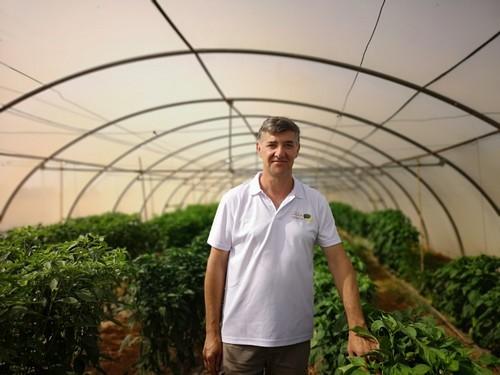Claudio Vidal, el director de I+D de Intersemillas contó a FHALMERÍA sobre sus últimas novedades en la mejora genética de cultivos hortícolas.