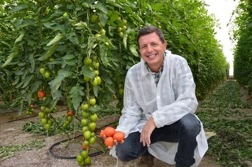 Manuel Hernández, especialista de tomate de Rijk Zwaan, posando con Atakama RZ