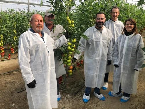 A la derecha, Pauline Rondeau, especialista en tomate e injerto, Fabien Duffaut, General Manager y Juan José Benito, delegado comercial para el Sureste de España, junto a varios agricultores.