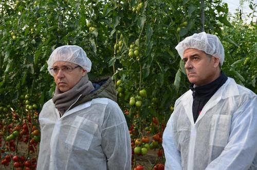 Rafael Bonet, director general de HM Clause Ibérica, y  Juan Antonio Plaza, técnico de Desarrollo de Tomate de la firma.