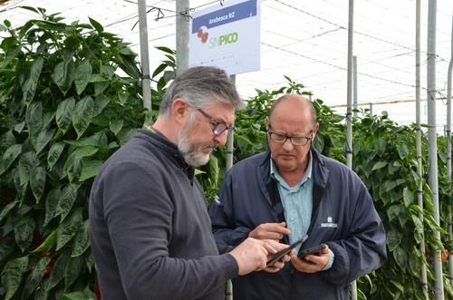 Alberto Domingo, de Rijk Zwaan, junto a un agricultor de pimiento mostrando los datos de producción de esta variedad