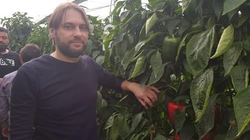 Alejandro Pascual, responsable de pimiento de Zeraim posa junto a una planta de Churchill.