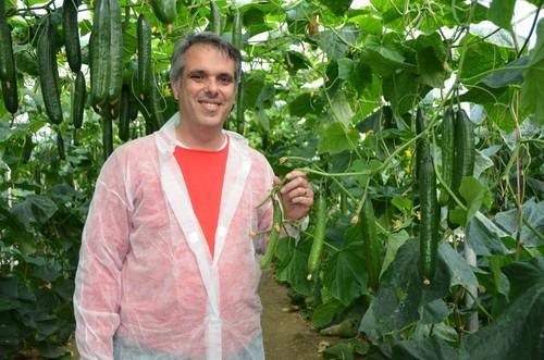 Javier López, especialista de cultivo de pepino de Rijk Zwaan