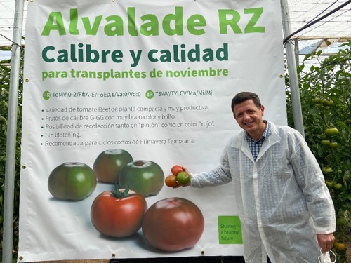 Manuel Hernández, especialista de tomate de Rijk Zwaan