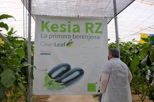 En los carteles informativos se puede observar la evolución de Kesia RZ en los últimos meses