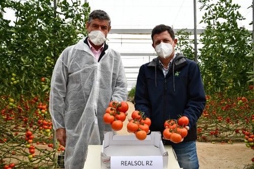 Patrocinio Torrente y Manuel Hernández, de Rijk Zwaan, con la variedad Realsol RZ