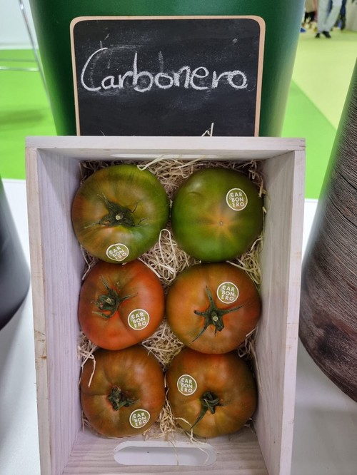 Carbonero es uno de los tomates estrella de la casa Semillas Fitó.