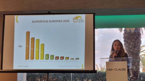 Kinga Pregowska, especialista de mercados de CLAUSE, habló de la oferta, el cambio de tendencia y corrientes de consumo del melón.