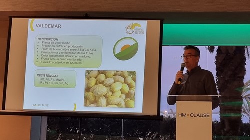 Javier Achón, técnico de desarrollo de melón de la obtentora, explicó las nuevas variedades para esta primavera-verano.