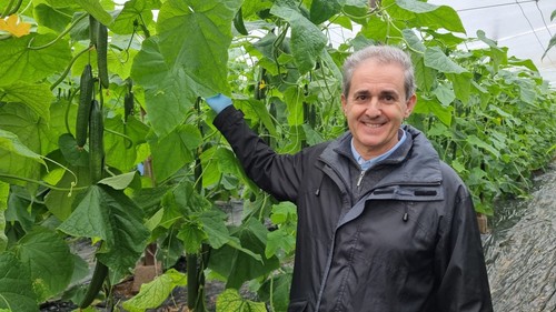 Antonio Manuel Alonso, Senior Sales Specialist long cucumber de BASF Vegetable Seeds.