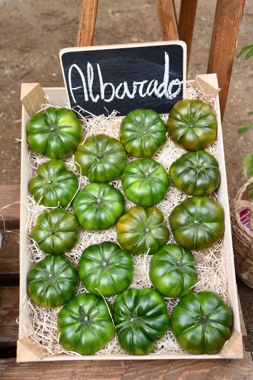 Albarado tiene un color verde oscuro durante todo el ciclo y su fruta destacapor alta calidad.