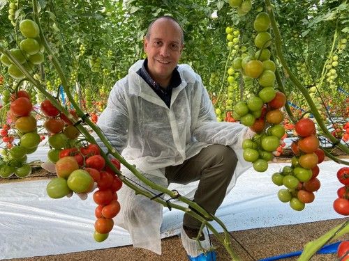 David Herzog, responsable de portainjertos de tomate de Rijk Zwaan