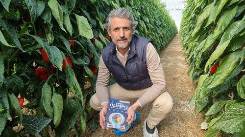 David Murcia, Regional Crops Lead de pimiento y pepino de BASF|Nunhems
