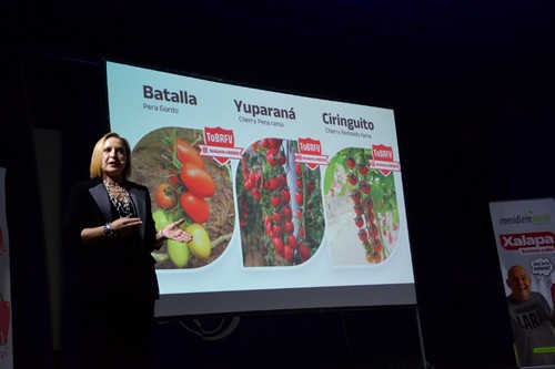 Batalla, Yuparaná y Ciringuito son un ejemplo del portfolio de tomate de la empresa