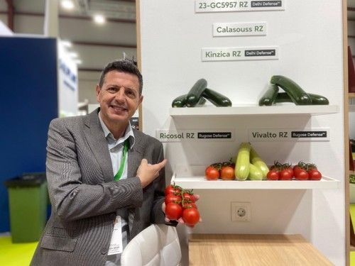 Manuel Hernández, especialista de tomate de Rijk Zwaan, posando con Ricosol RZ, una de las novedades en tomate rama con resistencia alta a rugoso.