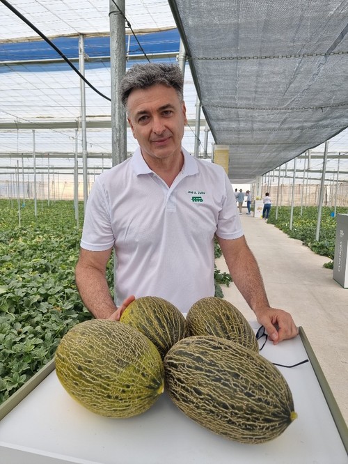José Antonio Zafra, técnico especialista de melón de Semillas Fitó, con la novedad Callejon.