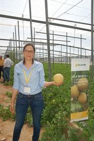 Beatriz Palmero, responsable técnico de desarrollo de melón de HM Clause Ibérica.