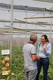 Beatriz Palmero, responsable técnico de desarrollo de melón de HM Clause Ibérica, resolvió las dudas de los presentes.