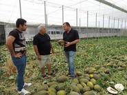 Paco Pino explicando las bondades de Mesura RZ a estos agriculores de Adra