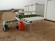 Novedoso sistema de hidroponia para cultivo de hoja